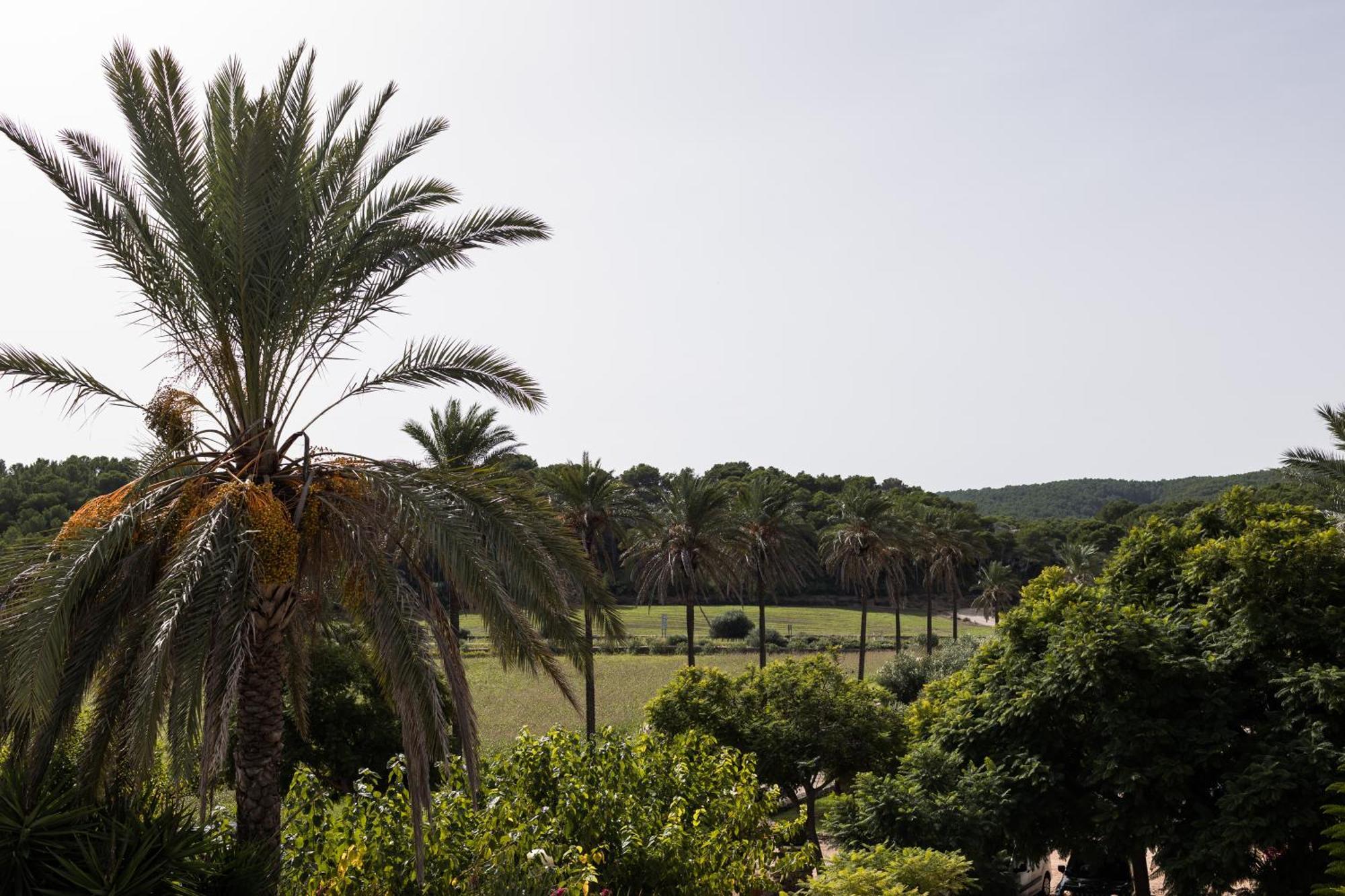 Llucatx Menorca Hotell Son Parc Rum bild